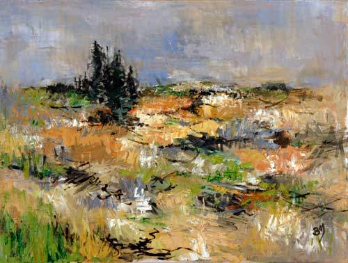 Fra naturreservatet Thy