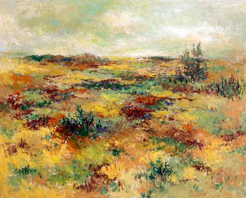 Landskab med spredt bevoksning