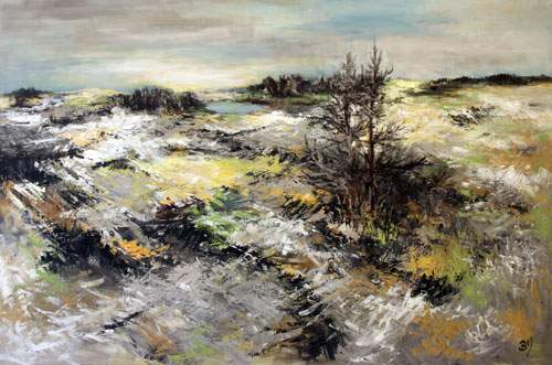 Store vidder ved indsø