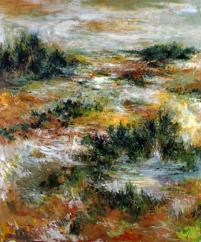 Stort landskab - lille sø