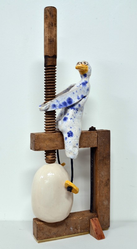 Fuglefødsel ved kejsersnit