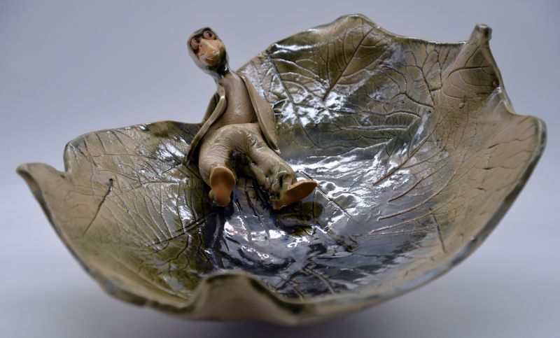 Fuglebad med liggende fugl