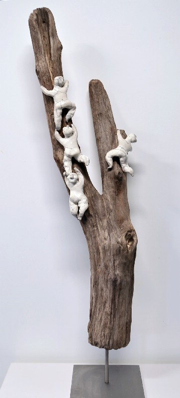 Mennesker kravler i træ