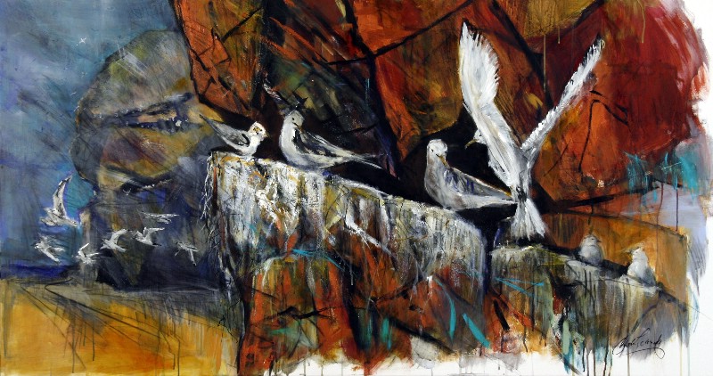 Mågekoloni ved Bulbjerg - Vestjylland