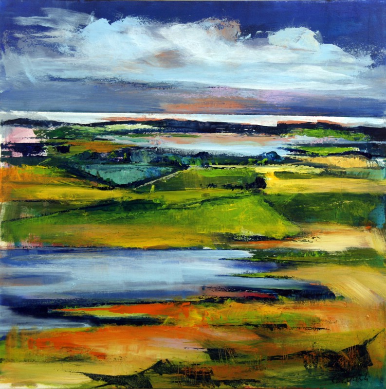 Sommer ved Limfjorden - Vestjylland