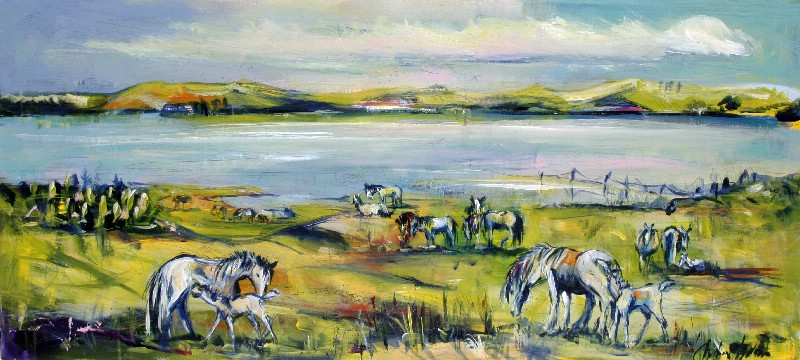 Islandske heste - Vestjylland