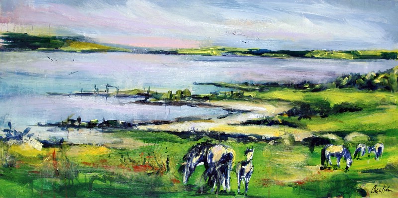 Islandske heste - Vestjylland