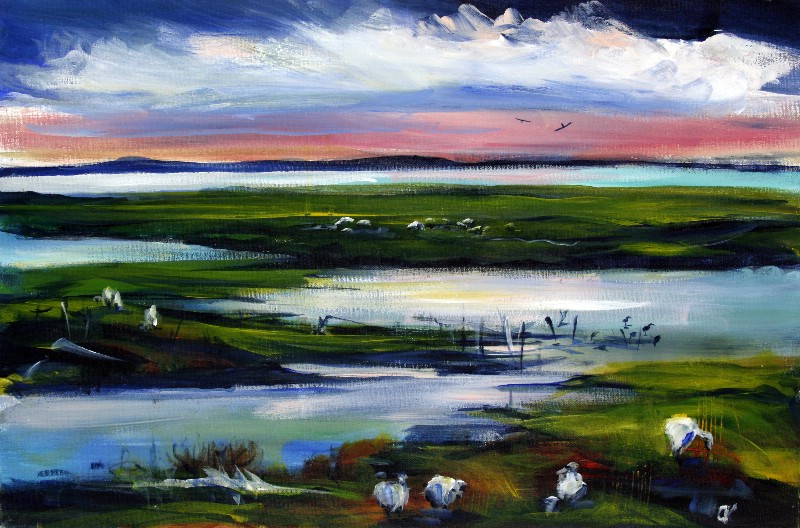 Græssende får på engen - Vestjylland