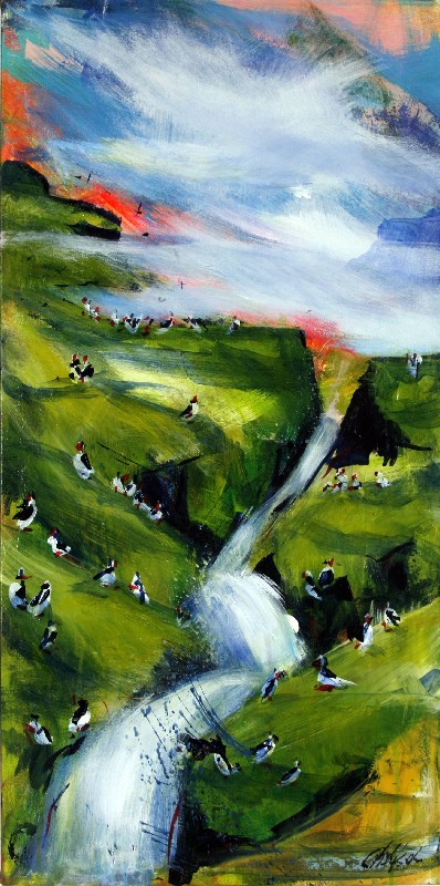 Vild sommer - Færøerne