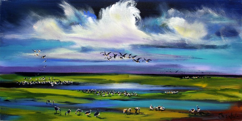 Vadehavet - Vestjylland