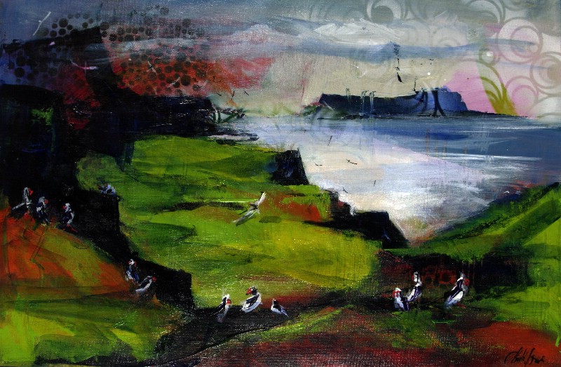 Magic Mykines - Færøerne