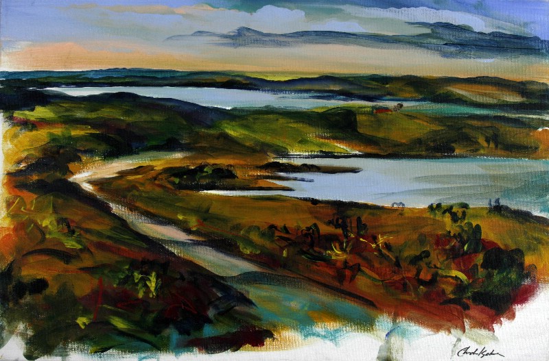 Stubbegård Sø - Vestjylland