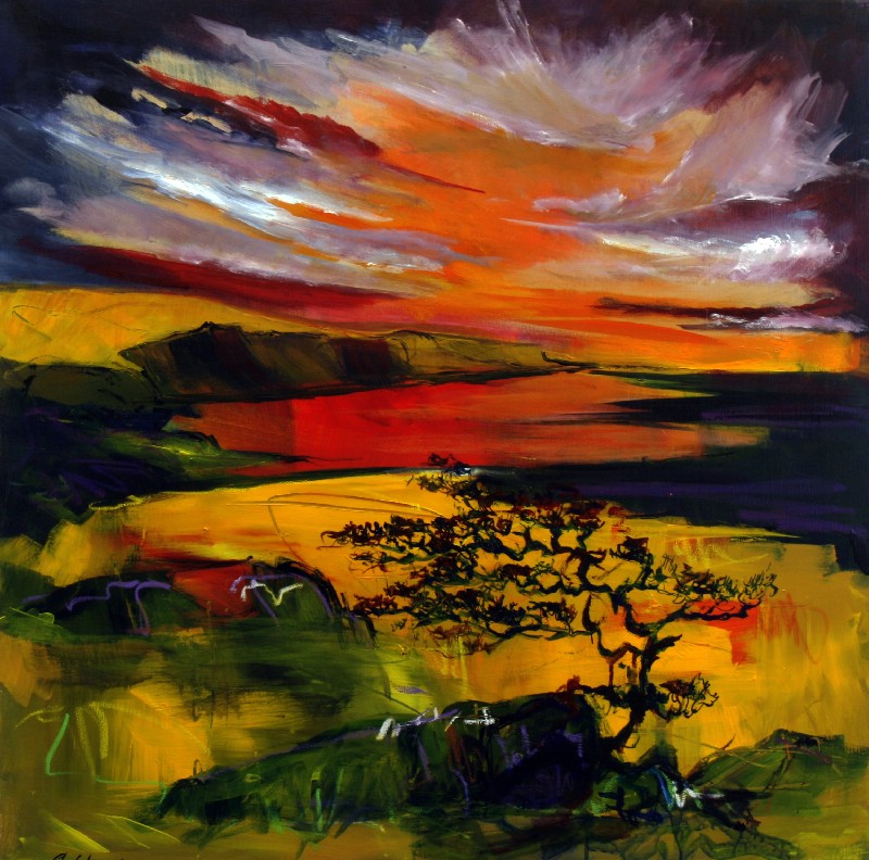 Himlen brænder over landskabet