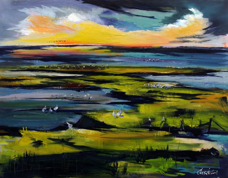 Morgen blandt fugle - Vestjylland