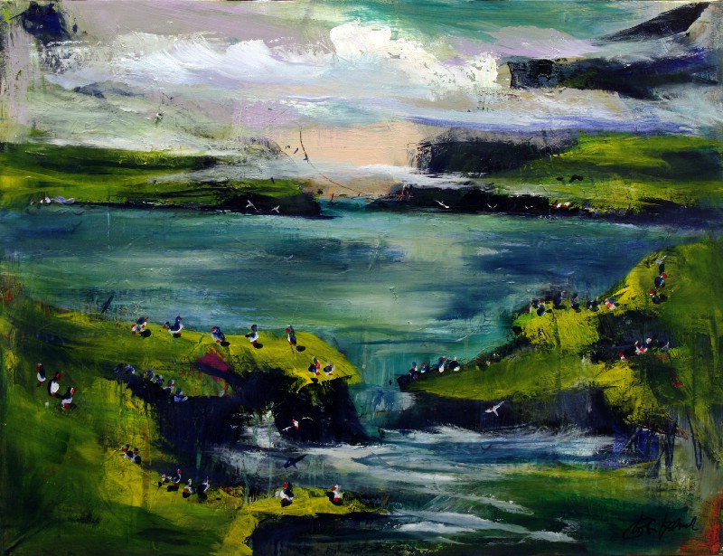 Fugle og Fjord - Færøerne