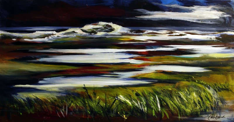 Nat over heden - Vestjylland