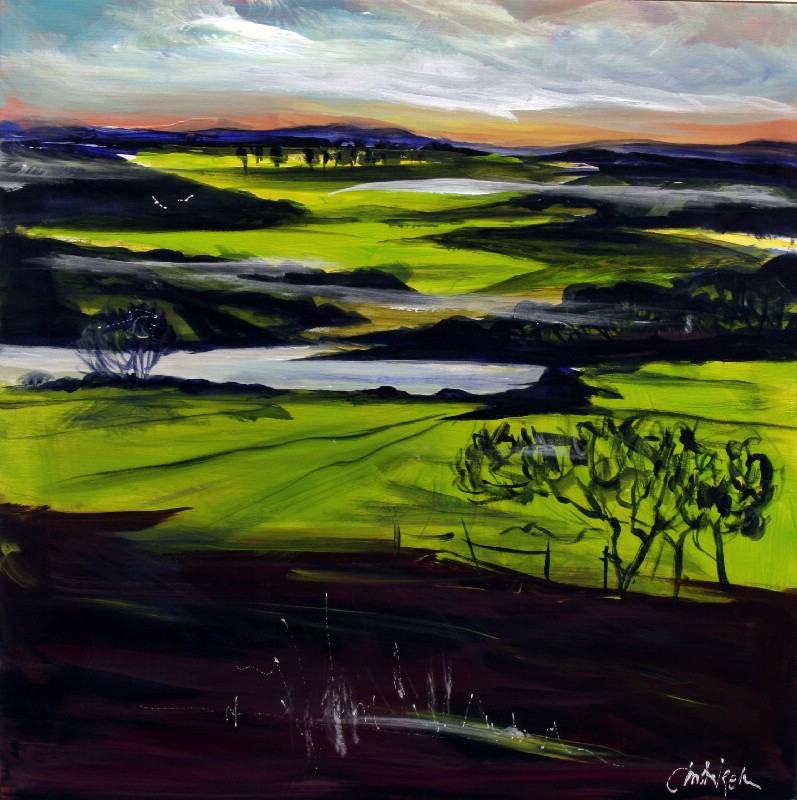 Udsigt over Helligård Ådal II - Vestjylland