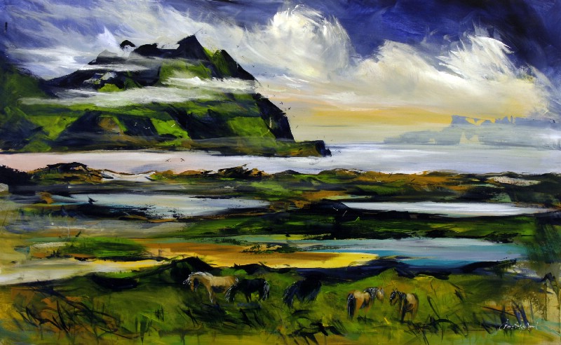 Islandske heste - Færøerne