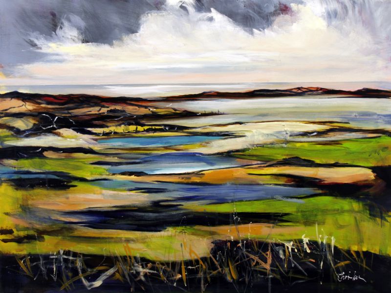 Klitmøller i maj - Vestjylland