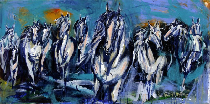 Drømmesynet- Vestjylland