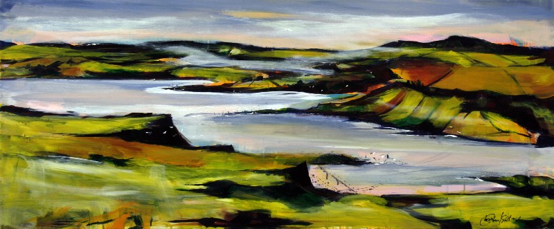 Ishuller ved Hjerl Hede - Vestjylland