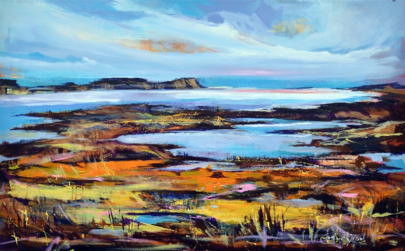 Moser og enge - Vestjyllands