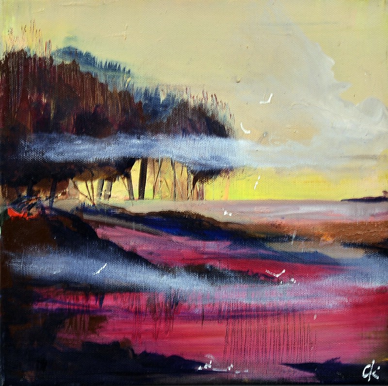 Aftenstemning over mosen - Vestjylland