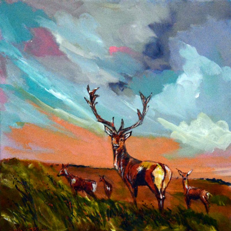 Jagtmotiver Vestjysk natur - Kronhjorten