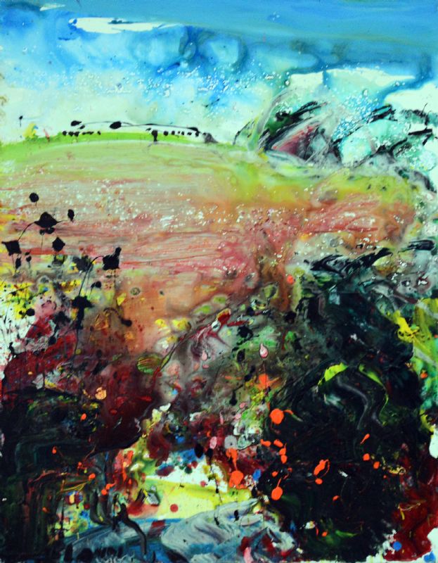 Ved Eyguiers- Provence