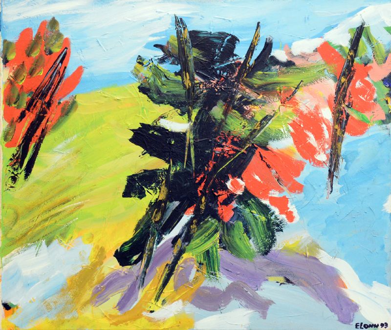 Vegetation - Provence