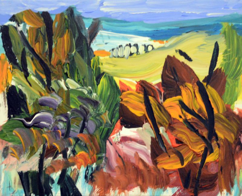 Solfyldt landskab Provence