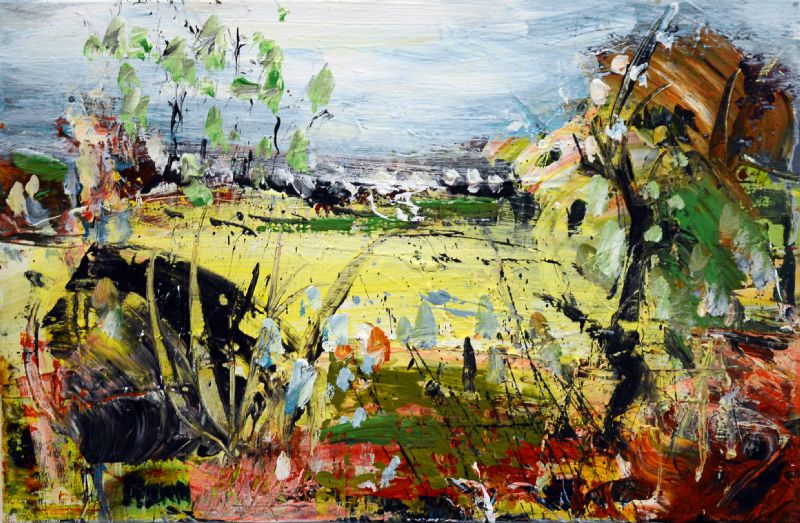 Natur ved Istres - Provence