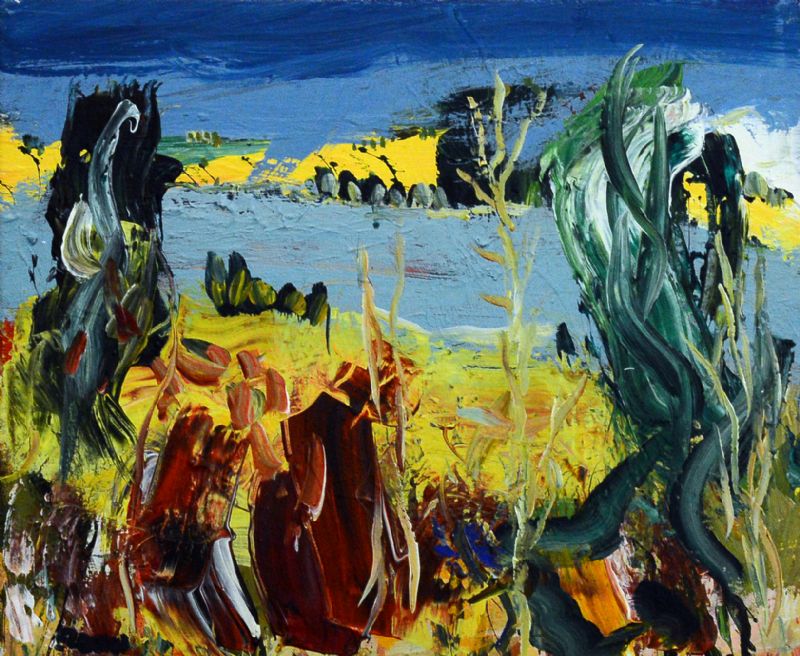 Landskab ved La Crau