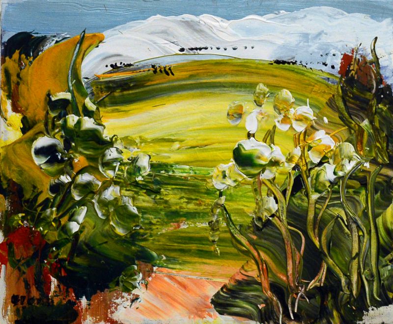 Ved Pelissanne - Provence