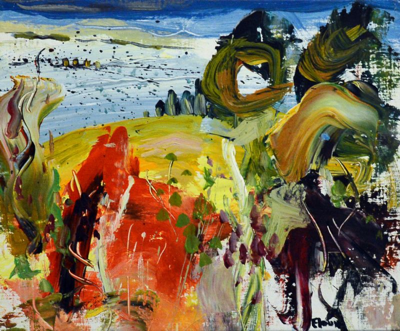 Natur ved Grans - Provence