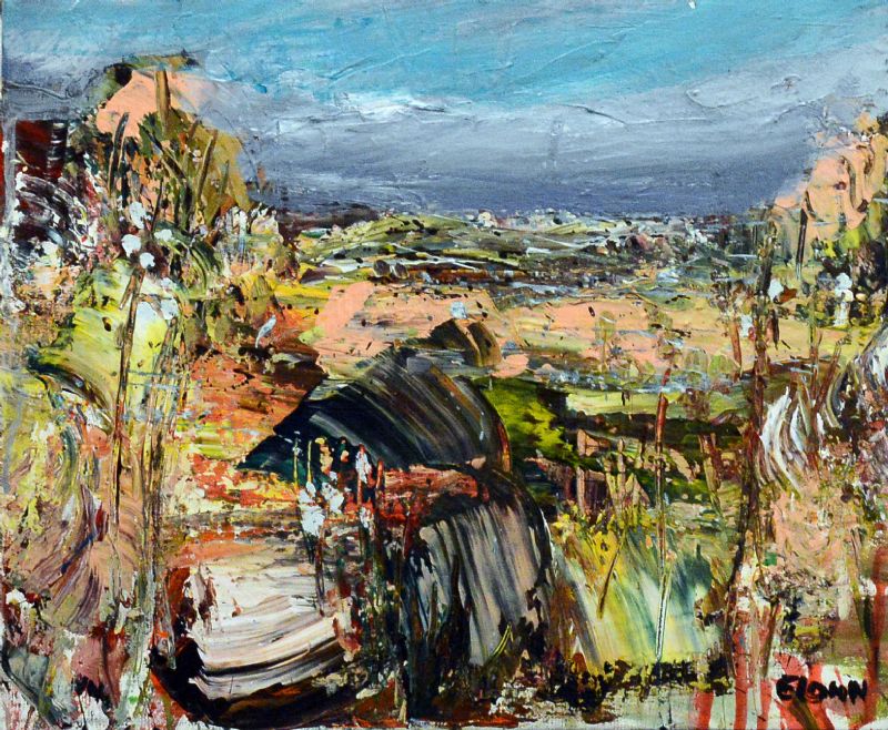 Natur ved Mouries - Provence II