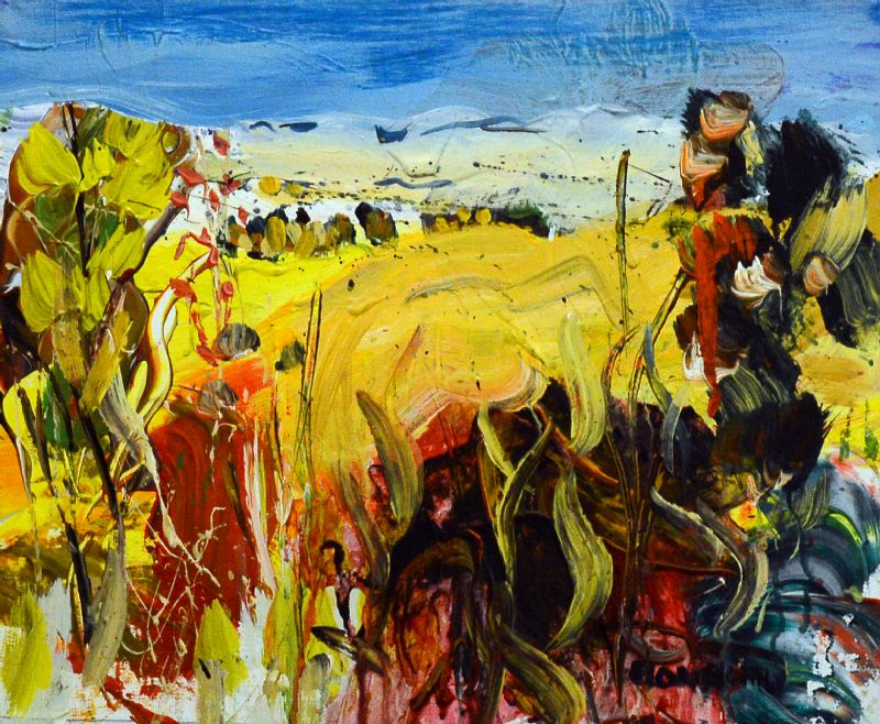 Natur ved Touloubre - Provence