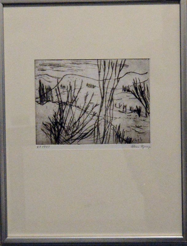 Ved Eyguieres - Provence