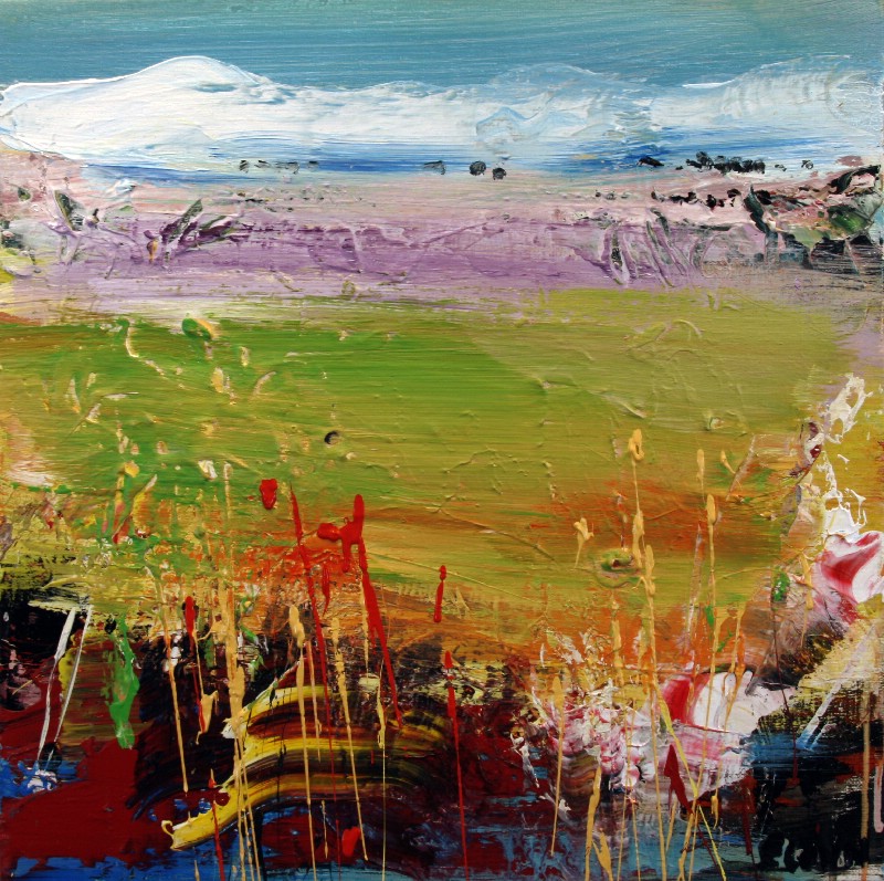 Provence en sommerdag