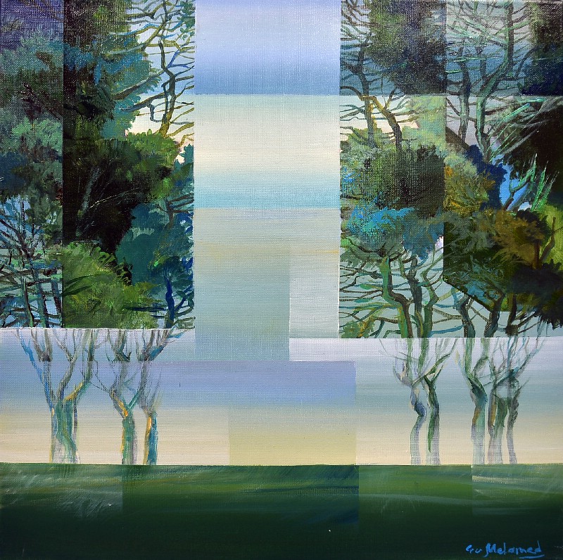 Geometri i naturen II