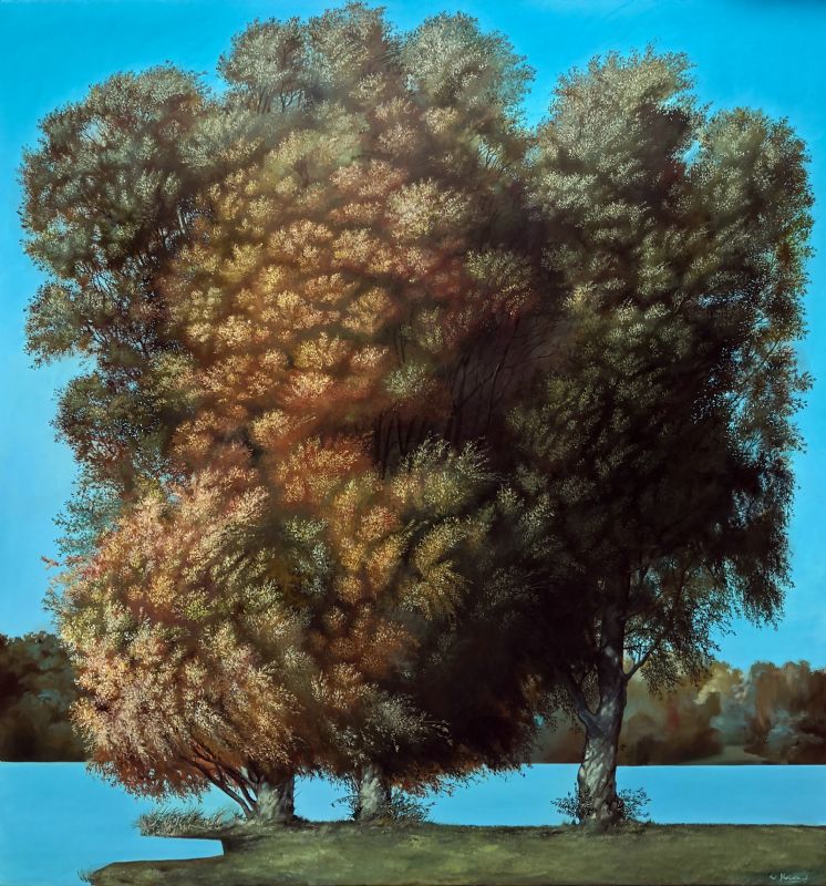 Sølvfarvede piletræer