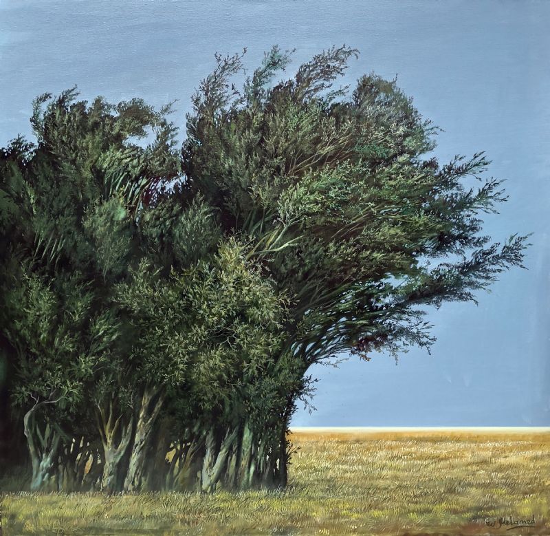 Ved kanten af marken