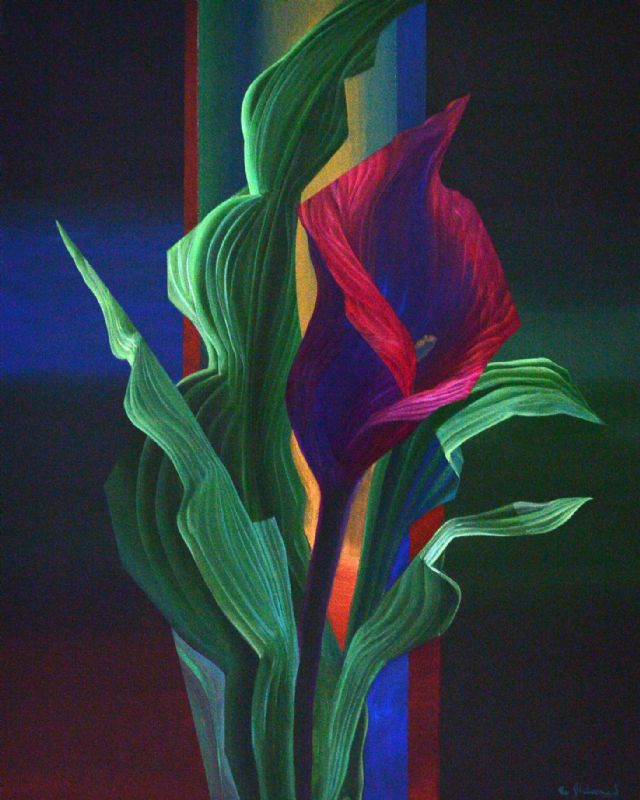 Sorte Calla