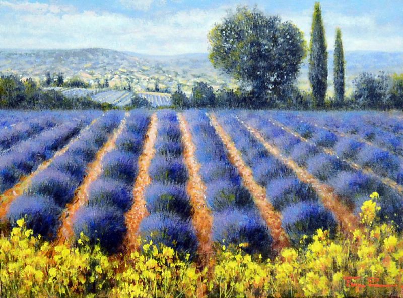 Lavendel Field