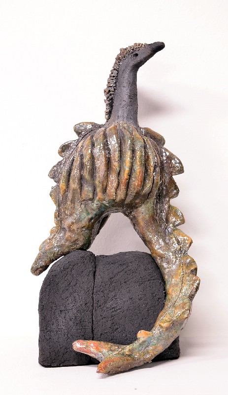 Grøftevandspiskedyr