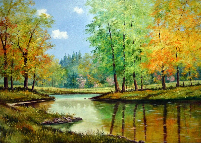 Creek Through The Forrest