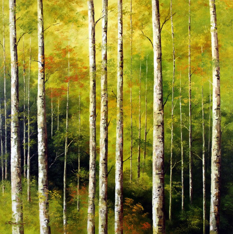 Birch Trees