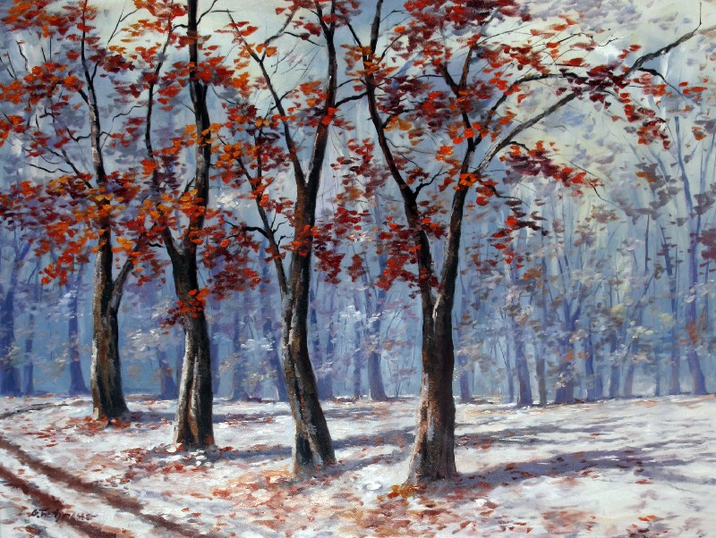 The First Snow