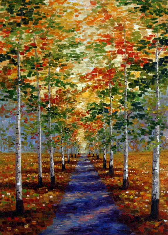 The Birch Walk
