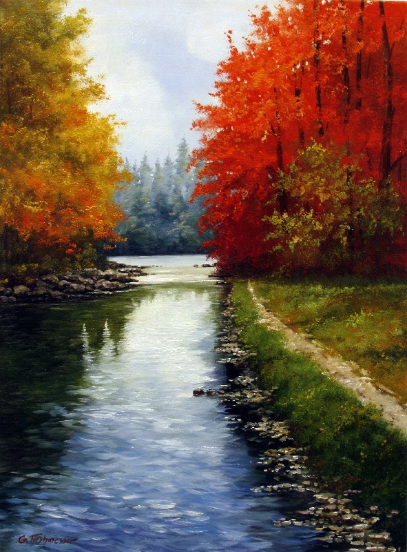 My Best Creek For Fishing Trouts